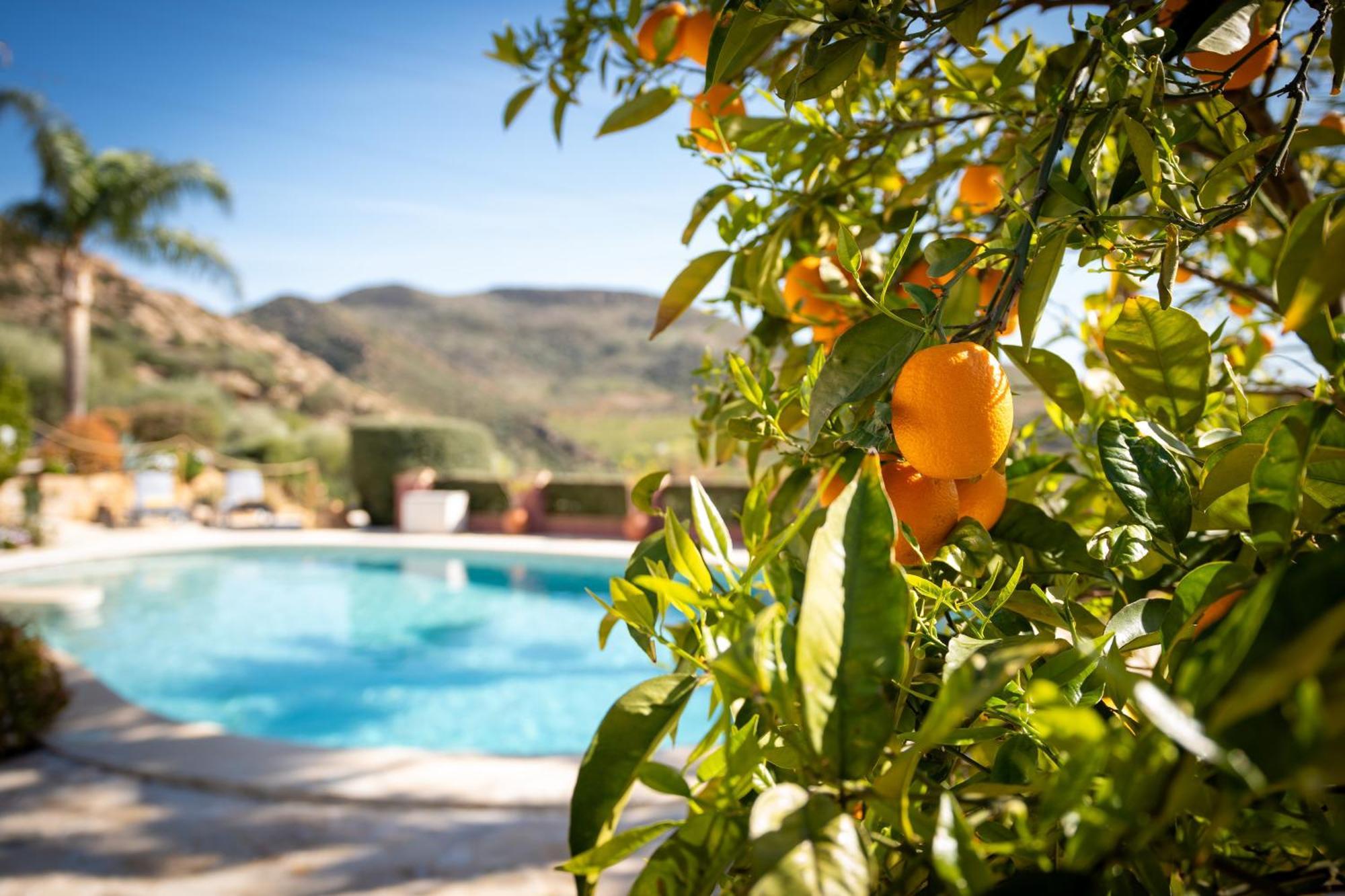 Finca Gran Cerros Alora Exterior photo